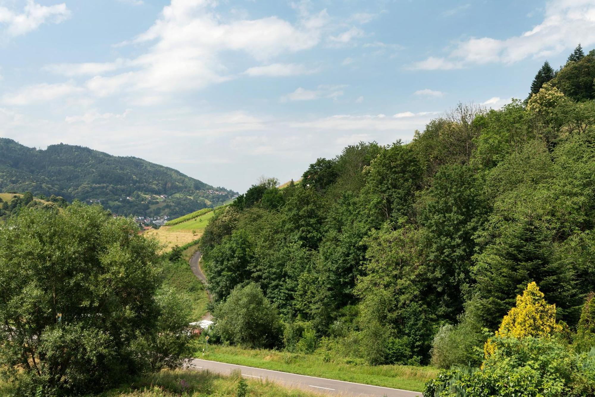 Ferienwohnung Wintereck Bühlertal Exterior foto